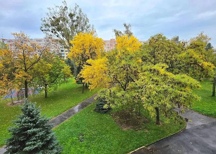 Flat In Appartamento *